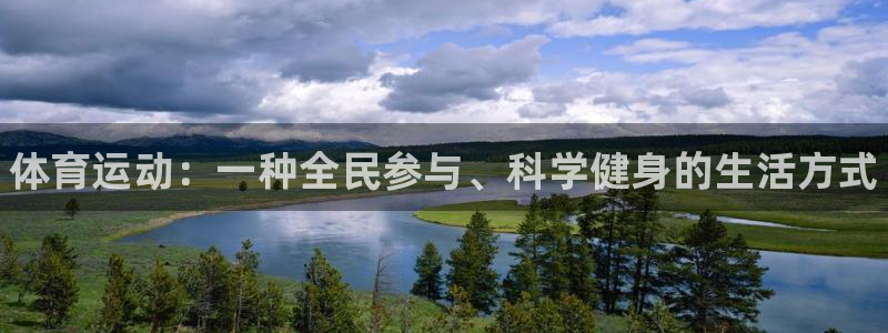 MK体育官方正版app集团官网网址：体育运动：一种全