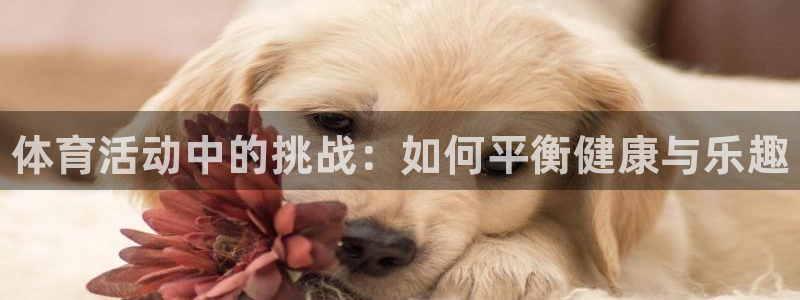 MK体育官网下载是干嘛的公司：体育活动中的挑战：如何