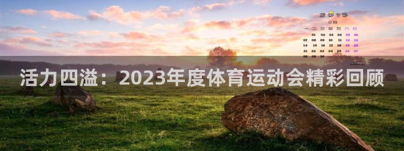 MK体育官网下载招商电话号码：活力四溢：2023年度