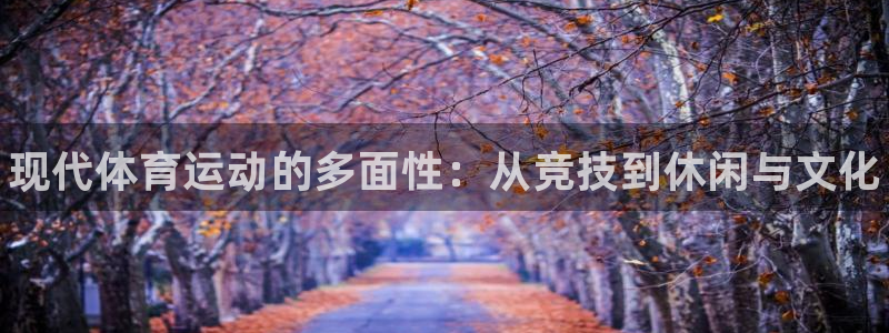 MK体育官网下载平台是正规平台吗安全吗：现代体育运动的多面性