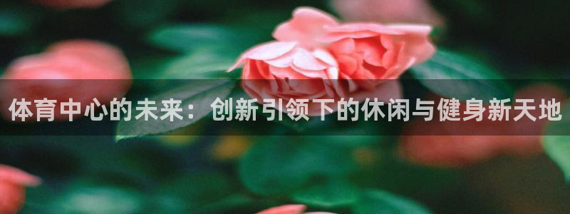 MK体育官网下载招商电话号码查询：体育中心的未来：创