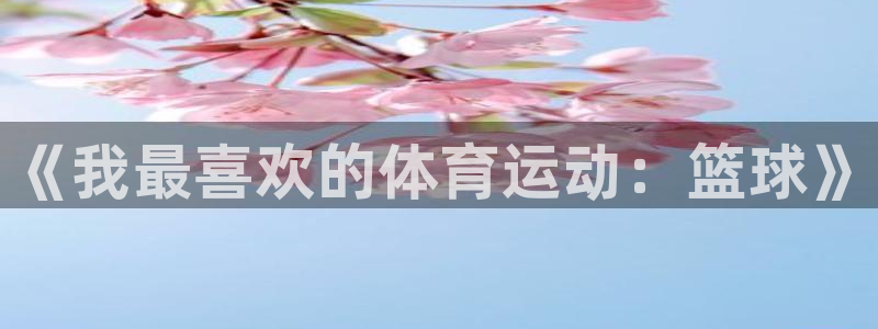 MK体育官方正版app五金厂：《我最喜欢的体育运动：篮球》