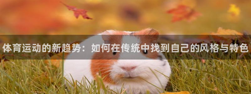 MK体育官网下载招商电话地址是多少：体育运动的新趋势：如何在