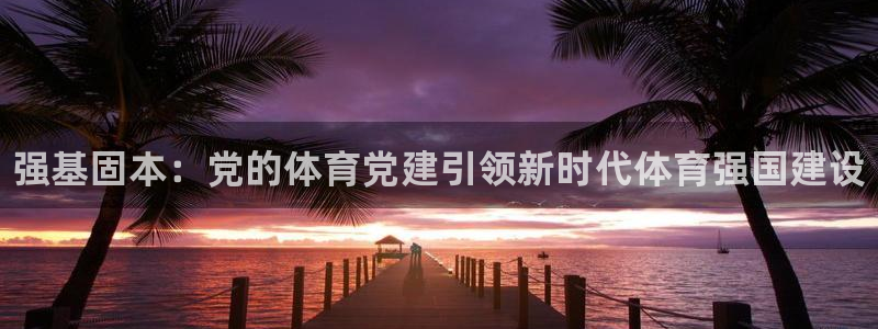 MK体育官方正版app官方：强基固本：党的体育党建引