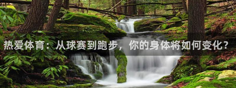 MK体育官网下载招商电话号码是多少号：热爱体育：从球赛到跑步