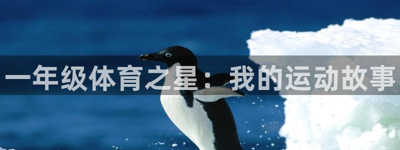 MK体育官网下载平台：一年级体育之星：我的运动故事