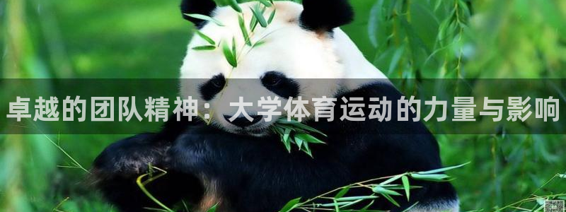 MK体育官网下载平台注册：卓越的团队精神：大学体育运动的力量