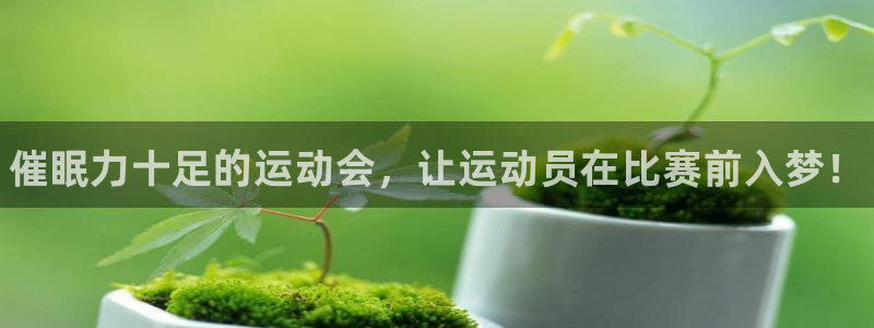 MK体育官网下载招商电话地址查询：催眠力十足的运动会