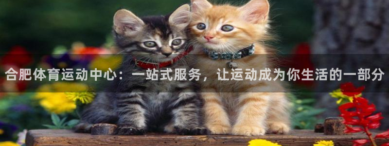 MK体育官方正版app新能源