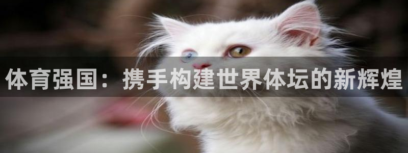 MK体育官网下载平台APP：体育强国：携手构建世界体坛的新辉