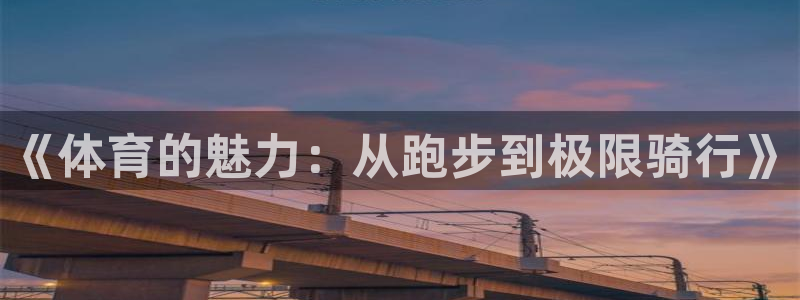 MK体育官方正版app集团官网首页