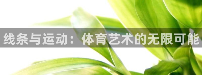 MK体育官网下载平台注册：线条与运动：体育艺术的无限可能