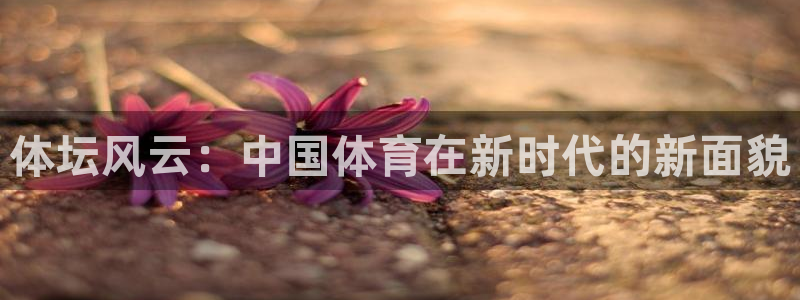 MK体育官方正版app娱乐首页官网下载：体坛风云：中国体育在