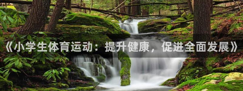 MK体育官网下载招商电话是多少：《小学生体育运动：提升健康，