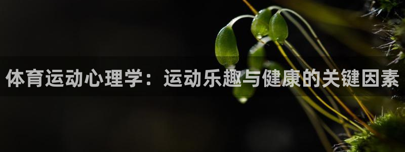 海南MK体育官网下载：体育运动心理学：运动乐趣与健康的关键因
