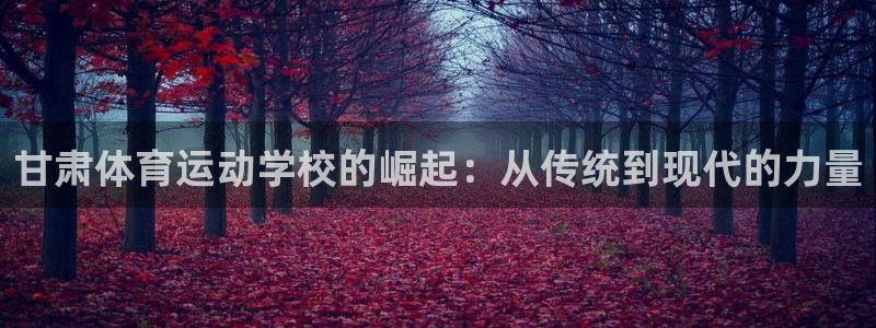 MK体育官方正版app集团官网首页网址：甘肃体育运动学校的崛