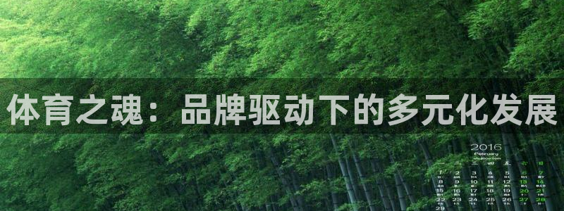 MK体育官网下载平台注册要钱吗安全吗：体育之魂：品牌