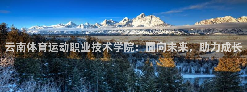 MK体育官网下载是干嘛的公司：云南体育运动职业技术学