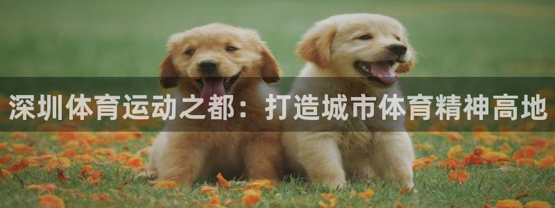 海南MK体育官网下载发展怎么样:深圳体育运动之都:打造城市体