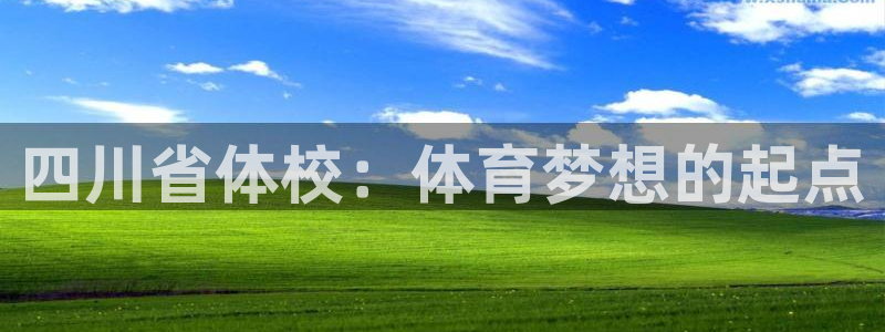 MK体育官网下载平台APP:四川省体校:体育梦想的起点
