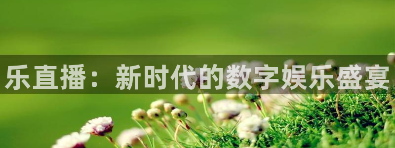 袋鼠体育直播app：乐直播：新时代的数字娱乐盛宴