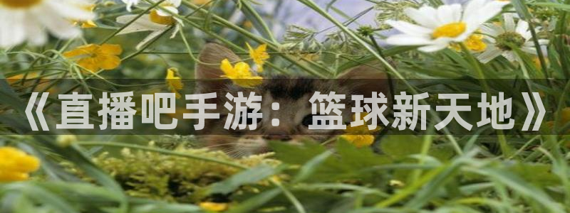 袋鼠直播体育app下载：《直播吧手游：篮球新天地》