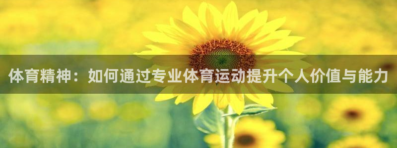 MK体育是正规的吗：体育精神：如何通过专业体育运动提升个人价