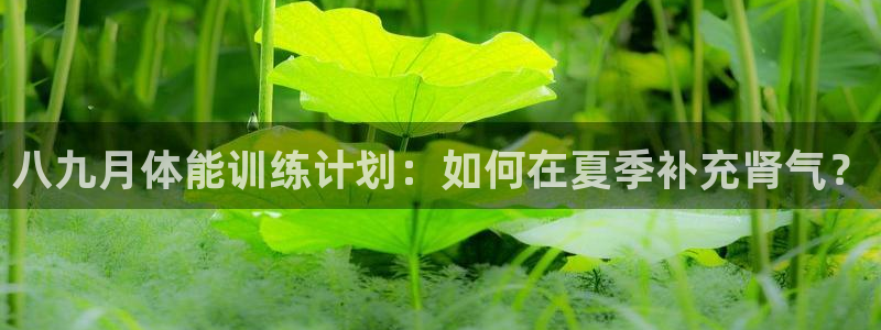  MK体育官网入口app下载安装：八九月体能训练计划：如何在夏