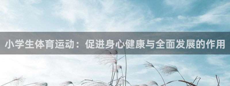  mk体育是哪个旗下的公司：小学生体育运动：促进身心健康与全面