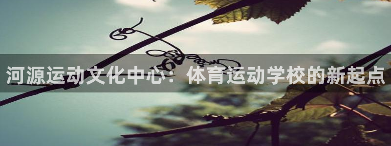 MK体育恩波利：河源运动文化中心：体育运动学校的新起点