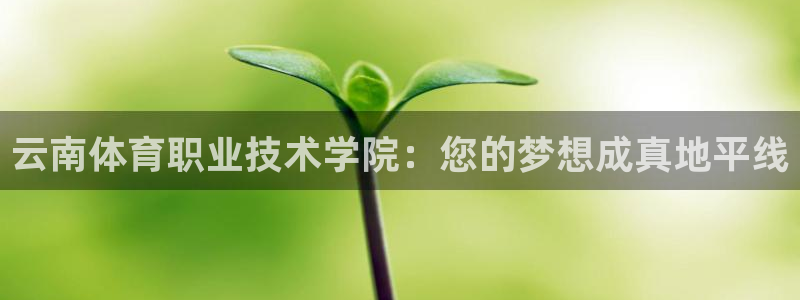 MK体育网页：云南体育职业技术学院：您的梦想成真地平线