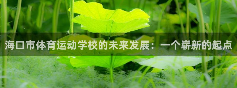 mk体育平台跑路最新消息：海口市体育运动学校的未来发展：一个