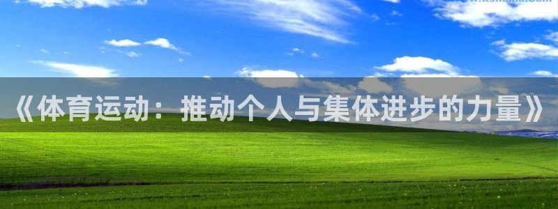 mk体育为什么这么黑：《体育运动：推动个人与集体进步的力量》