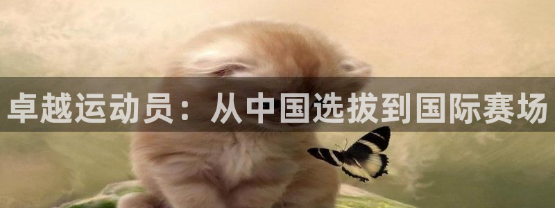 MK体育手机版打开即玩官方直营231g10.中国：卓越运动员