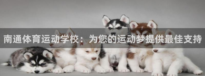 mk体育
